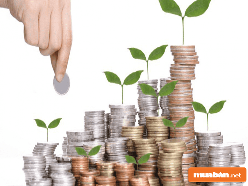 Nó cung mang tới cho người sở hữu những khoản lợi nhuận khổng lồ