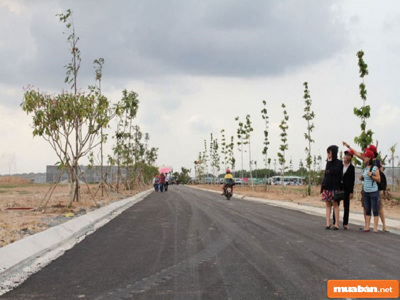 Những Mảnh Đất Long An Nằm Gần Trục Đường Chính Huyết Mạch Có Giá Rất Cao Những Mảnh Đất Khu Vực Này Nằm Gần Trục Đường Chính Huyết Mạch Có Giá Rất Cao