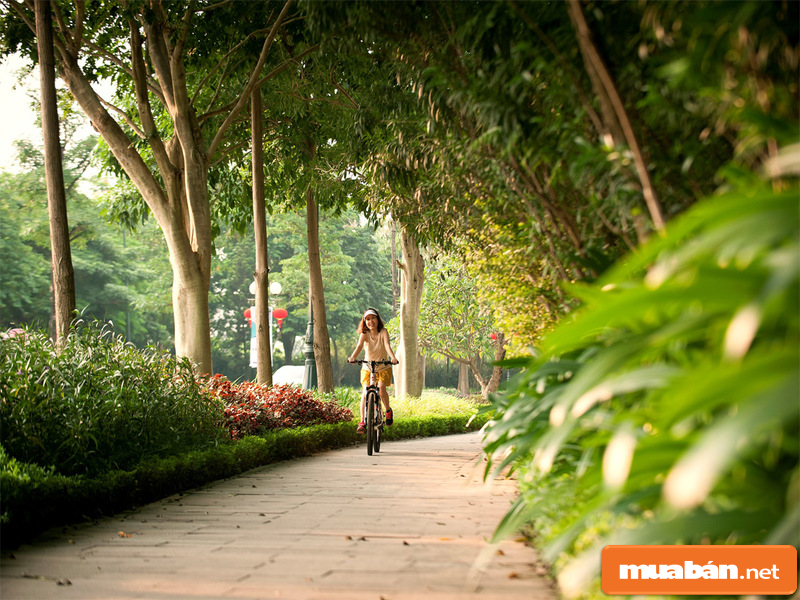 Homyland Riverside Gây Choáng Ngợp Với 3 Mặt Tiền Và View Sông! 5 Bạn Đã Biết Về Không Gian Sống Xanh Tươi Của Dự Án Homyland Riverside Chưa?