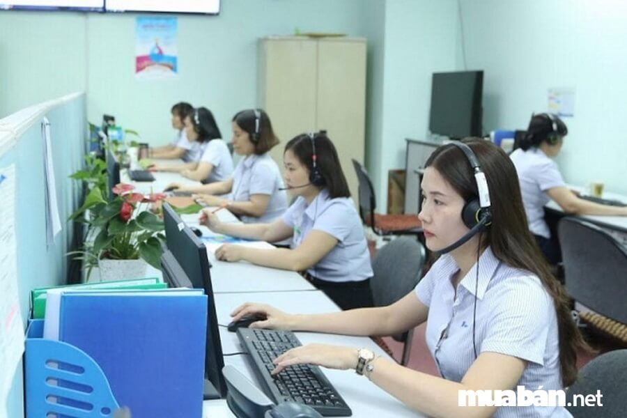 Top 6 Việc Làm Vĩnh Long Có Nhu Cầu Tuyển Dụng Cao Cuối Năm 2019 5 Nhu Cầu Việc Làm Vĩnh Long Về Vị Trí Này Tăng Cao Đột Biến Trong Thời Gian Gần Đây.