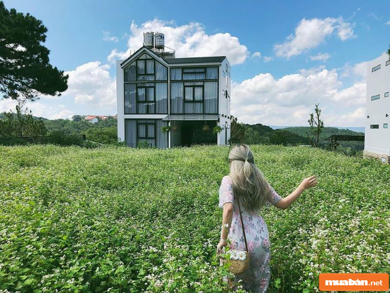 Những công việc tại khách sạn, homestay, nhà nghỉ,... khá phổ biến tại Đà Lạt việc làm Dalat