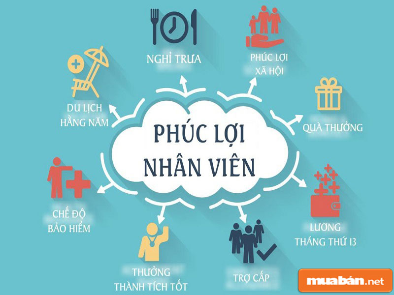 Bạn nên tìm kiếm những môi trường làm việc thật sự tốt Bạn nên tìm kiếm những môi trường làm việc thật sự tốt