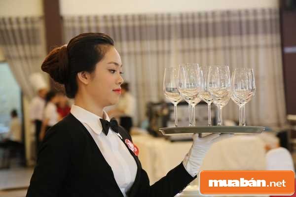 việc làm Vĩnh Long