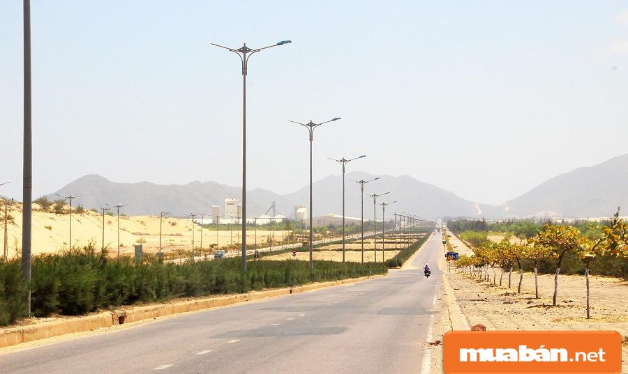 Tìm việc làm Bình Định