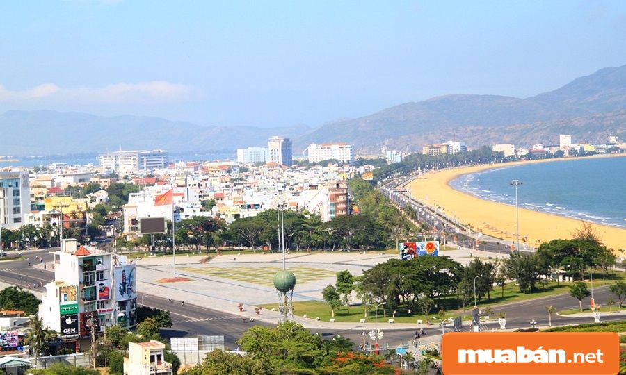 Tìm việc làm Bình Định