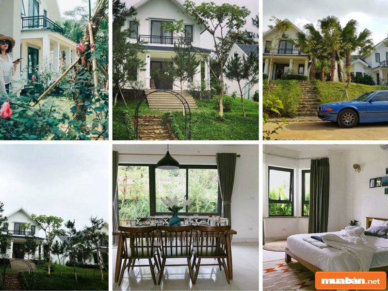 Thiết Kế Theo Cảm Hứng Từ Những Căn Biệt Thự Kiểu Mỹ Sang Trọng Mà Vẫn Hài Hòa Với Thiên Nhiên Thiết Kế Theo Cảm Hứng Từ Những Căn Biệt Thự Kiểu Mỹ Sang Trọng Mà Vẫn Hài Hòa Với Thiên Nhiên