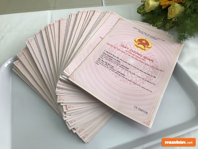 Dự án này đã có sổ hồng riêng từng lô