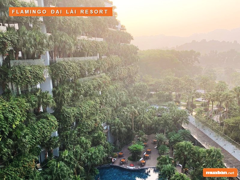 Review Đánh Giá Khu Nghỉ Dưỡng Flamingo Đại Lải Resort 5 Ảnh Đẹp Flamingo Đại Lải Resort