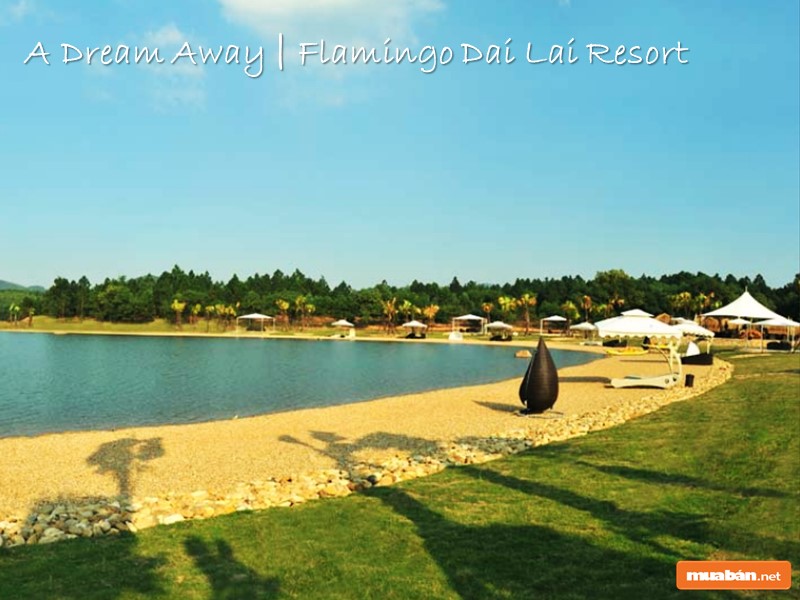 Review Đánh Giá Khu Nghỉ Dưỡng Flamingo Đại Lải Resort 6 Thông Tin Khu Resort Flamingo Đại Lải