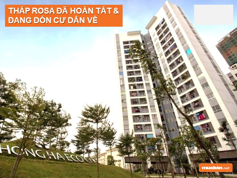 Hồng Hà Eco City Sắp Mở Bán Tòa Nhà Gardenia Tháng 12 Năm 2019 6 Tiến Độ Thi Công Tháp Rosa Hồng Hà Eco City