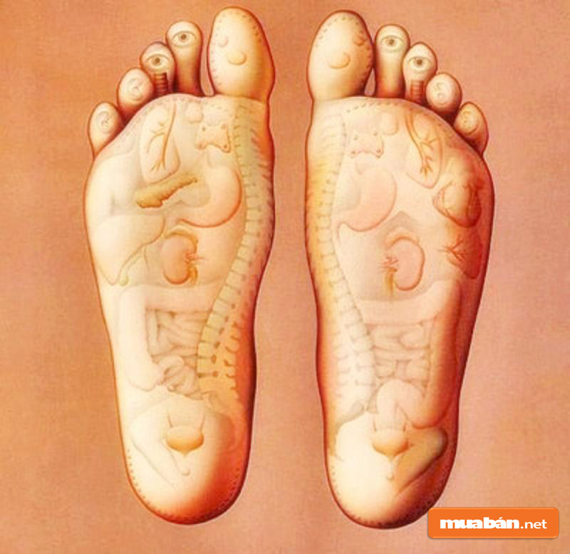 Tìm Việc Massage Foot Tại Hồ Chí Minh – Việc Làm Hái Ra Tiền 2 Tìm Việc Massage Foot Tại Hồ Chí Minh