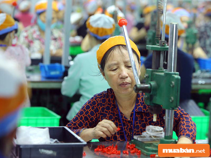 Việc Làm Cho Người Lớn Tuổi Tại Biên Hoà Cần Giải Pháp Gì? 5 Người Lớn Tuổi Vẫn Có Thể Đi Làm Để Kiếm Thêm Thu Nhập Cho Bản Thân