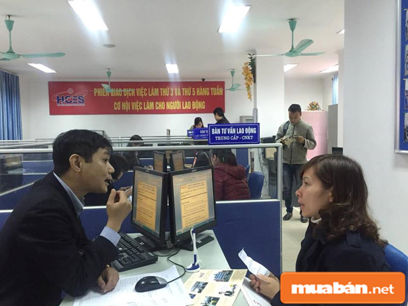 Những Việc Làm Tại Thái Bình Hot Nhất Hiện Nay 5 Bạn Có Thể Ghé Những Cơ Sở Chuyên Tư Vấn Lao Động Để Hỗ Trợ Tìm Việc