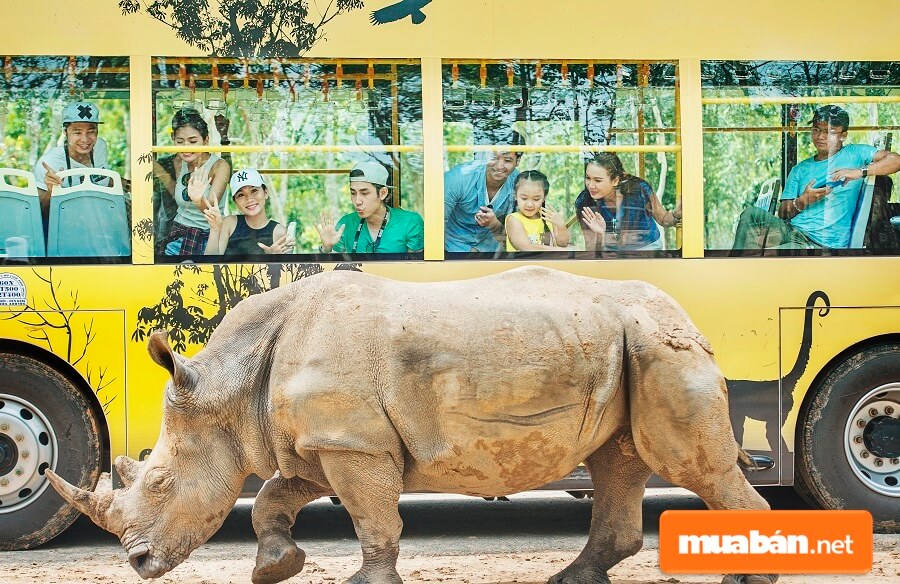 Mỗi phân khu trong Safari Vinpearl là một hệ sinh cảnh khác nhau, đảm bảo phù hợp với tập tính sinh học của từng loài.