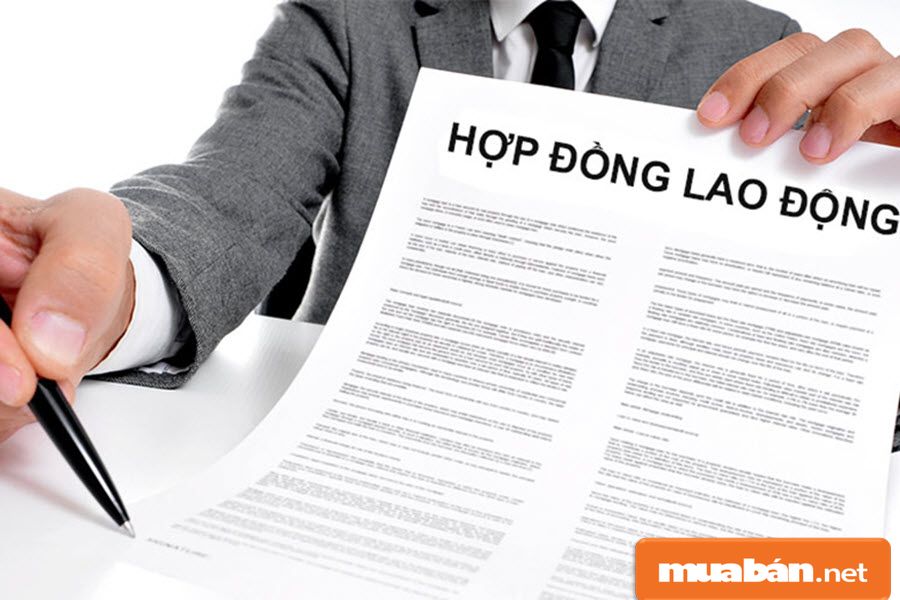Hợp đồng lao động