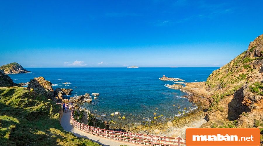 Nhà đất Bình Định