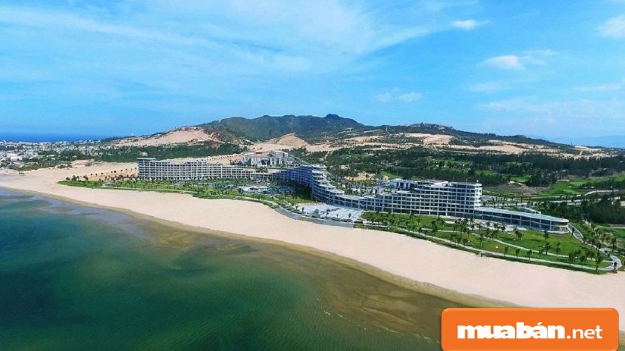 Nhiều dự án bất động sản mới ra mắt nhưng lại thu hút khá nhiều nhà đầu tư.