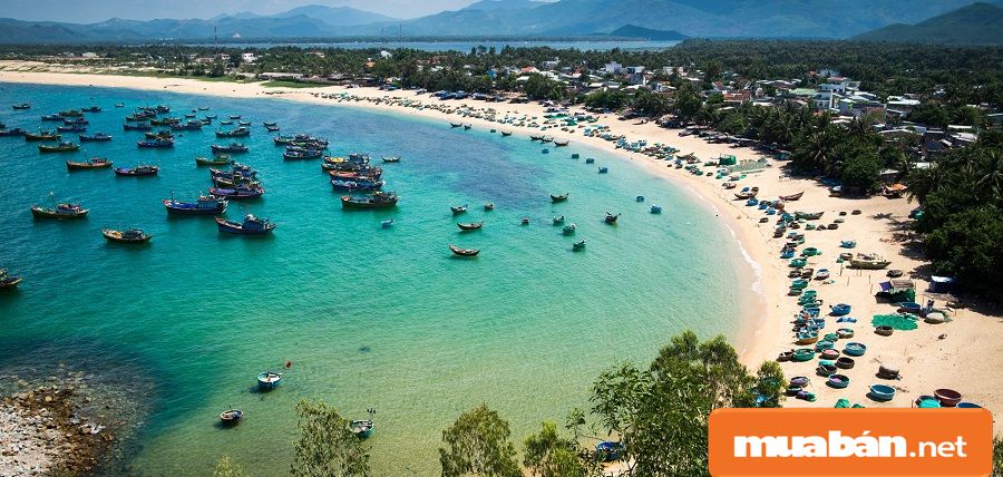 Nhà đất Bình Định