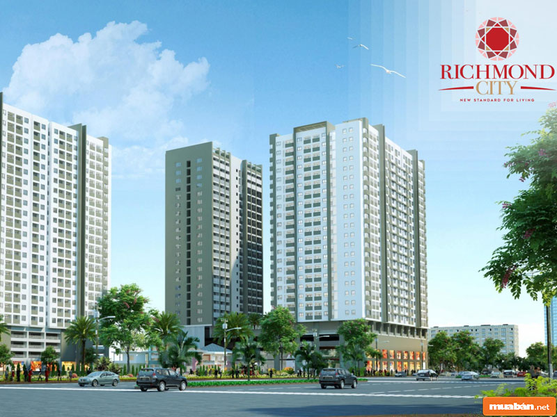Richmond City 12