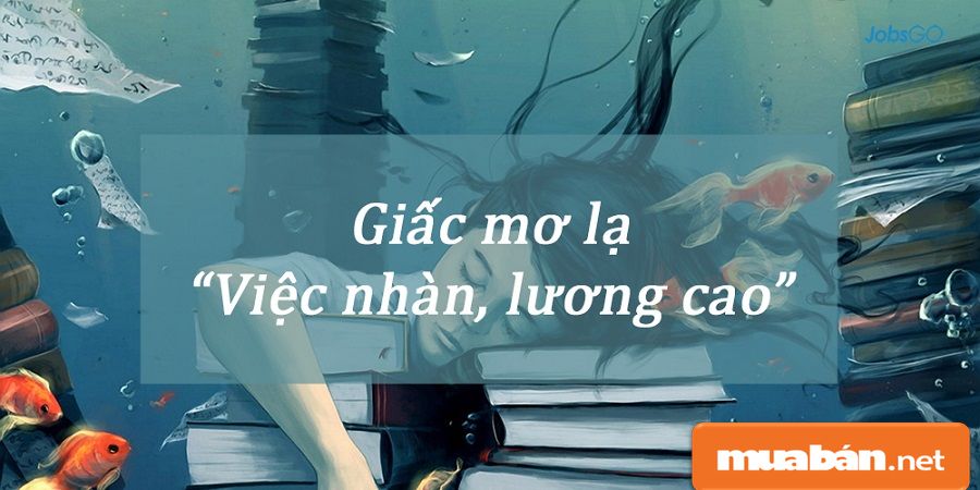 Việc Làm Đà Lạt Và Top 5 Điều Cần Lưu Ý Dành Cho Bạn! 13 Việc Làm Đà Lạt