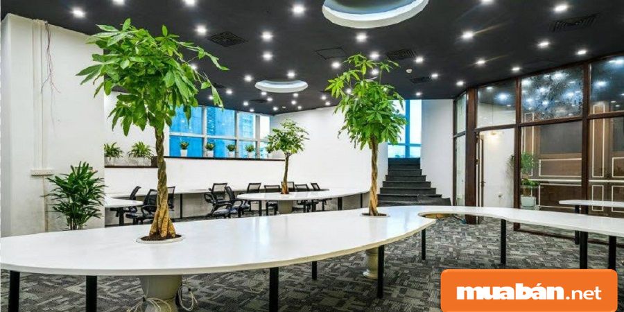 Được thiết kế theo kiến trúc hiện đại và tập trung vào xu hướng thiết kế không gian mở.