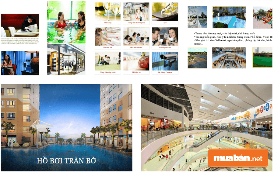 Dự án Diamond Riverside quận 8 do Công ty Cổ phần Đầu tư hạ tầng kỹ Thuật Tp.HCM (CII), Creed Group và 577 hợp tác làm chủ đầu tư