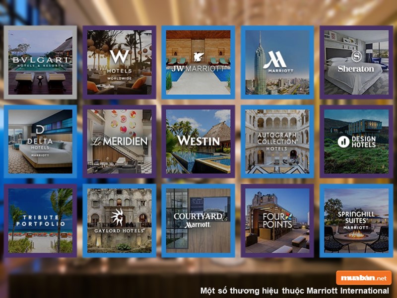 Khách Sạn Marriott Hà Nội - Nơi Ở Ưa Thích Của Tổng Thống Mỹ Khi Đến Việt Nam Có Gì Đặc Biệt? 2 Brand Thuộc Marriott International