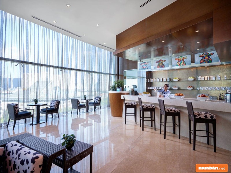 Khách Sạn Marriott Hà Nội - Nơi Ở Ưa Thích Của Tổng Thống Mỹ Khi Đến Việt Nam Có Gì Đặc Biệt? 8 Không Gian Nhà Hàng Milk &Amp; Co