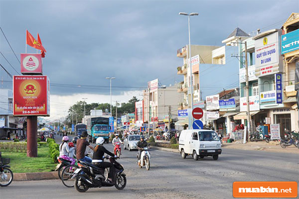 Mua bán đất mặt tiền Quốc lộ 20 huyện Di Linh, lợi nhuận tương lai