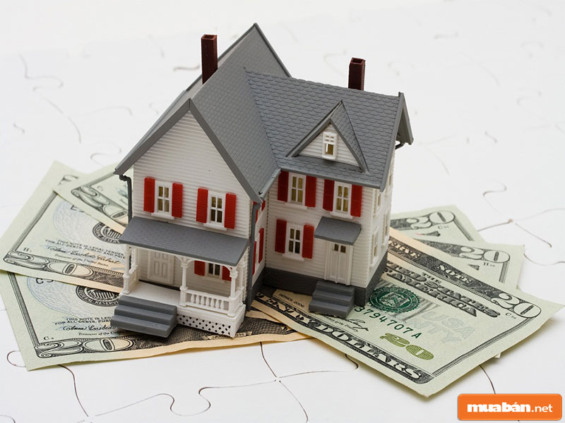 Mua Bán Đất Mặt Tiền Quốc Lộ 20 Huyện Di Linh, Lợi Nhuận Tương Lai 5 Đầu Tư Nhà Đất, Khoản Đầu Tư Luôn Sinh Lời