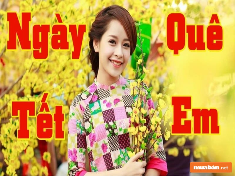 Ngày Tết quê em cũng là bản nhạc vô cùng nổi tiếng