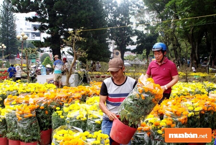 Việc làm Quy Nhơn cuối cùng mà chúng tôi muốn chia sẻ với bạn dịp Tết này đó chính là nhân viên phụ bán hoa, cây cảnh dịp Tết.
