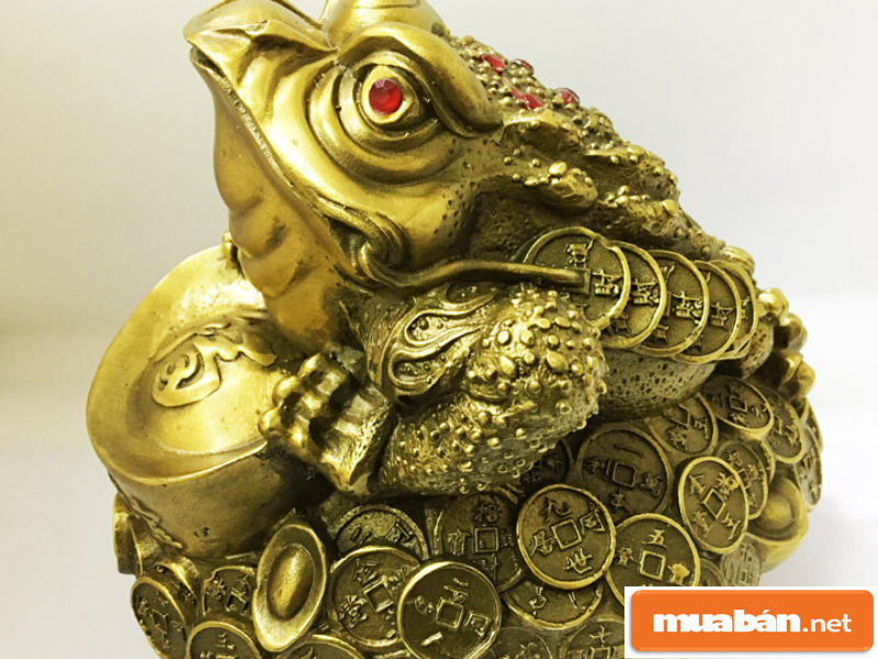 vatphamphongthuy3