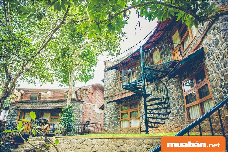 Homestay Đẹp Ở Đà Lạt Và 5 Bí Kíp Lựa Chọn Tốt Nhất! 16 Các Homestay Thường Nằm Trong Hẻm, Dốc Nên Bạn Cũng Hãy Tìm Hiểu Trước Nhé!