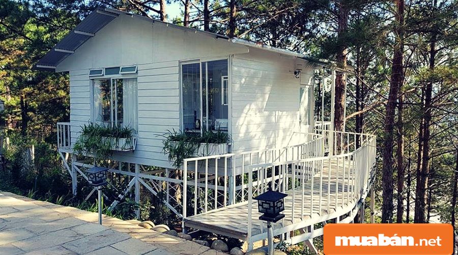 Homestay Đẹp Ở Đà Lạt Và 5 Bí Kíp Lựa Chọn Tốt Nhất! 6 Homestay Đẹp Ở Đà Lạt