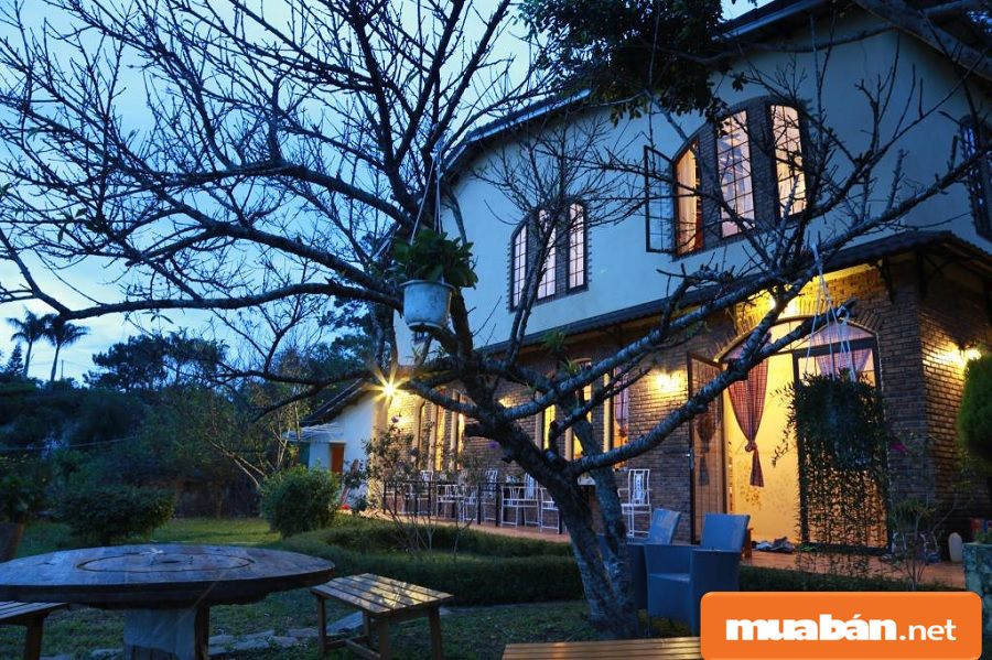 Homestay Đẹp Ở Đà Lạt Và 5 Bí Kíp Lựa Chọn Tốt Nhất! 5 Homestay Đẹp Ở Đà Lạt
