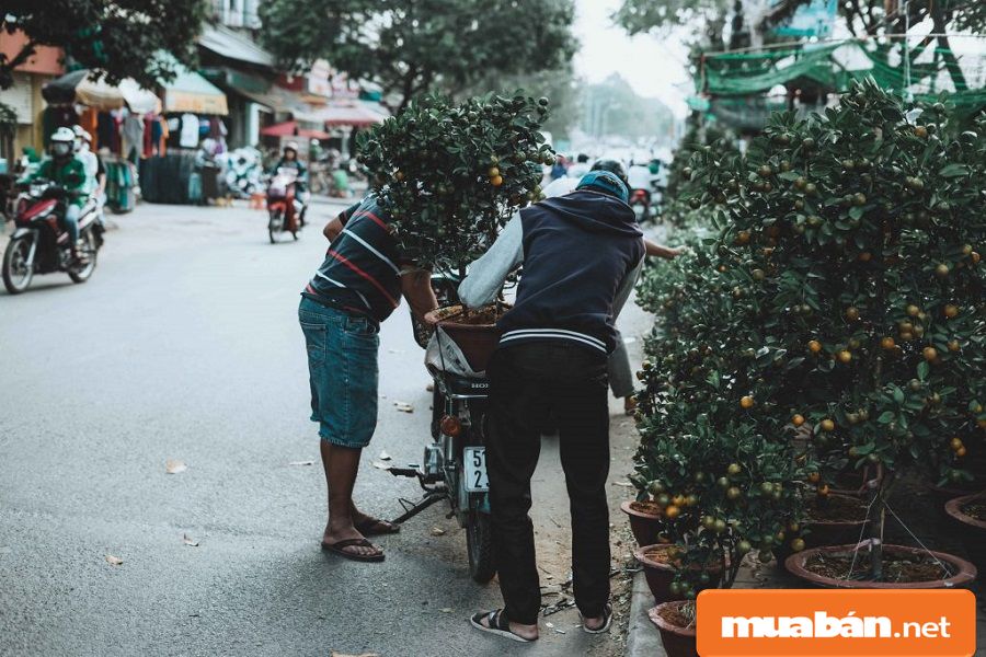 Nhạc Xuân Hay Nhất Dành Cho Những Ngày Tết! 2 Nhạc Xuân Hay