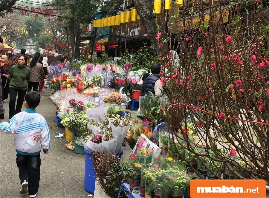 Nhạc Xuân Hay Nhất Dành Cho Những Ngày Tết! 3 Nhạc Xuân Hay