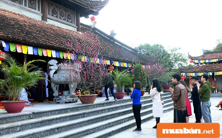 Những câu chúc Tết hay ngắn gọn