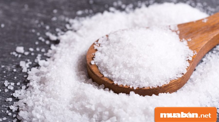 Những câu chúc Tết hay ngắn gọn