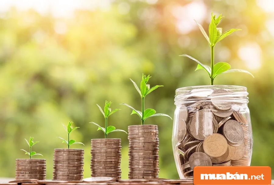 Tết Nên Đi Du Lịch Ở Đâu Với 5 Gợi Ý Hay Nhất! 5 Bạn Phải Xác Định Được Là Bạn Có Khoảng Bao Nhiêu Tiền Cho Chuyến Đi Này?