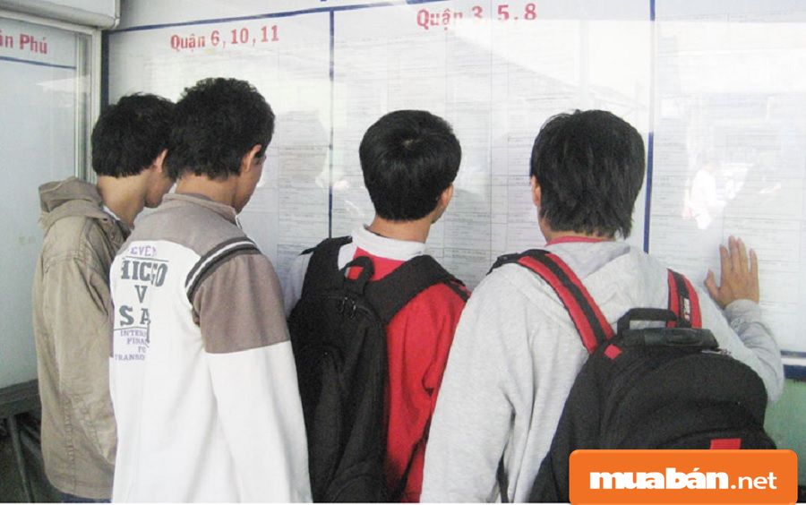 Việc Làm Tết – Sv Nên Nắm Rõ 5 Điều Cơ Bản Này! 7 Tìm Việc Làm Tại Các Trung Tâm Hỗ Trợ Sinh Viên Gần Nơi Bạn Học.