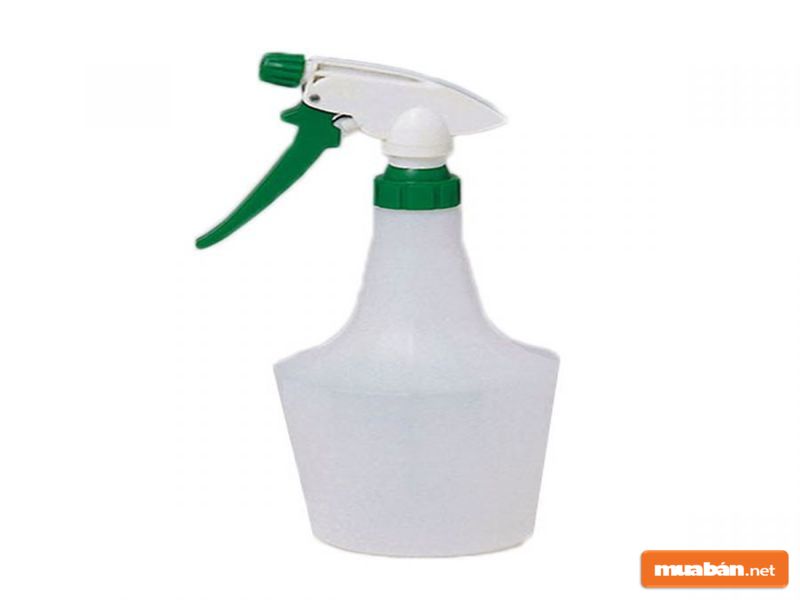 Quất nên được tưới bằng bình phun sương