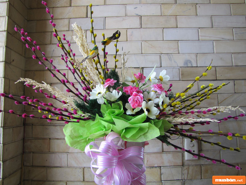 Cây Cảnh Đẹp: Lựa Chọn Loại Nào Để Trang Trí Nhà Cửa Dịp Tết 16 Cây Cảnh Đẹp 016