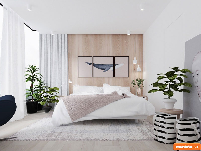 Cây Cảnh Đẹp: Lựa Chọn Loại Nào Để Trang Trí Nhà Cửa Dịp Tết 3 Cây Cảnh Đẹp 03