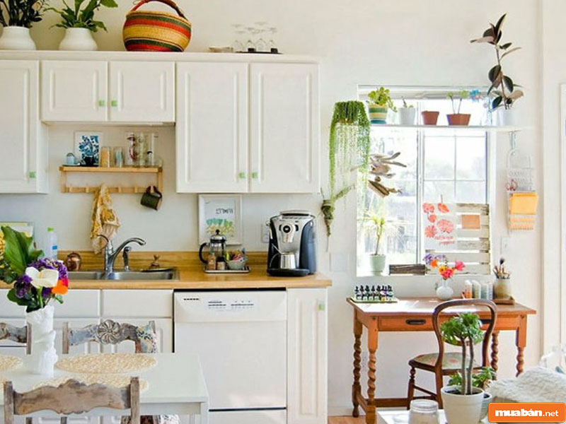 Cây Cảnh Đẹp: Lựa Chọn Loại Nào Để Trang Trí Nhà Cửa Dịp Tết 4 Cây Cảnh Đẹp 04