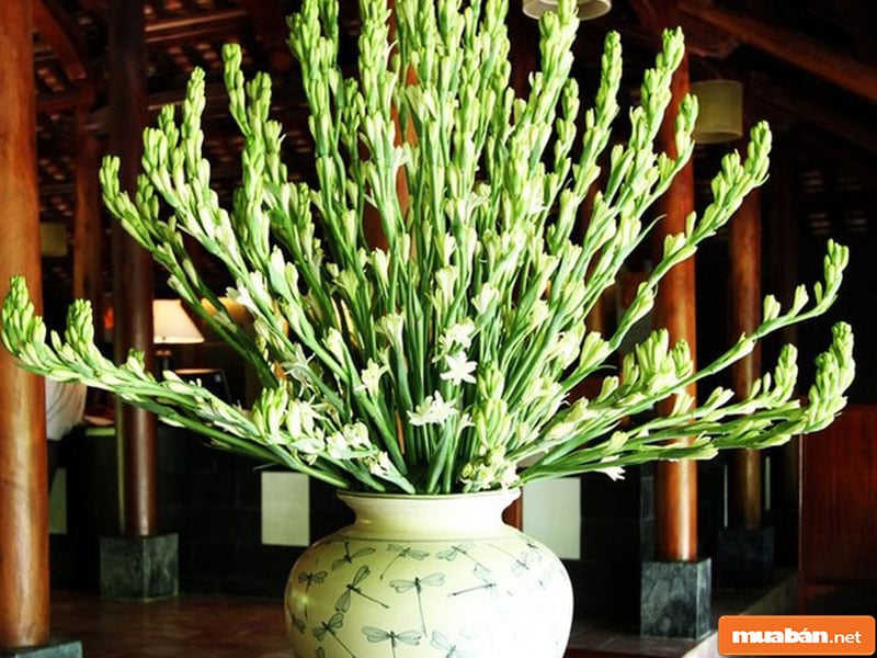 Hoa Đặt Bàn Thờ: Nên Và Không Nên Chọn Loại Nào? 5 Hoa Đặt Bàn Thờ 05