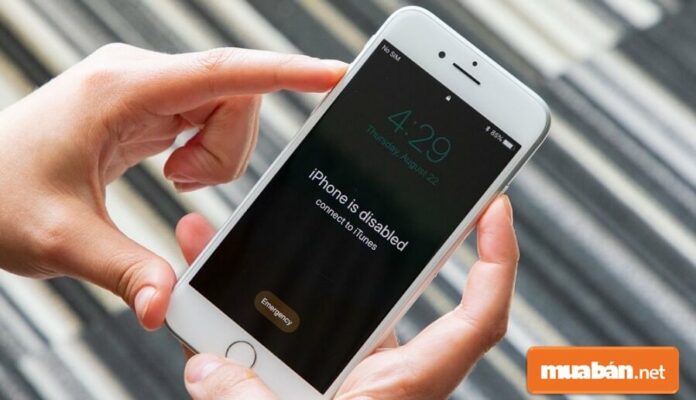 iPhone bị vô hiệu hóa làm sao để khắc phục nhanh nhất?