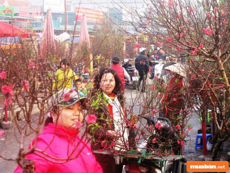 Nhạc Xuân Hay Nhất Mọi Thời Đại Và Tầm Quan Trọng Tiềm Ẩn 5 Những Ca Khúc Nhạc Xuân Vẽ Lên Bức Tranh Ngày Tết Cực Kỳ Sinh Động
