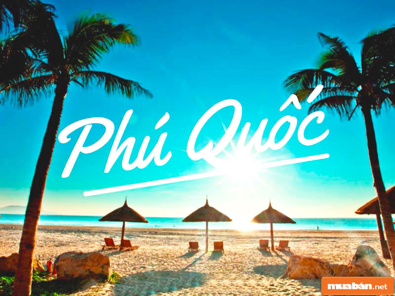 Việc Làm Phú Quốc - Những Công Việc Tiềm Năng Nhất 2 Việc Làm Phú Quốc